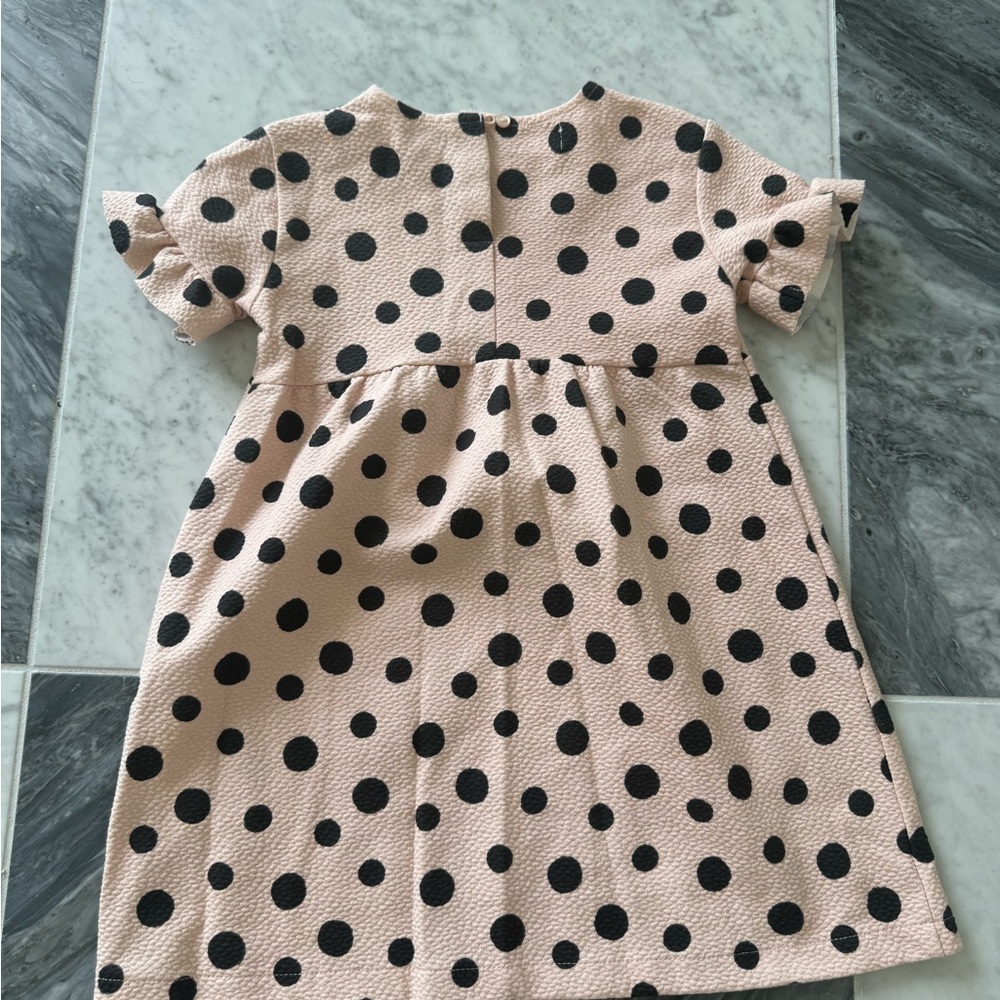 Zara kids dot dress. 3/4 T. Bell sleeve, button back. - Picture 4 of 4